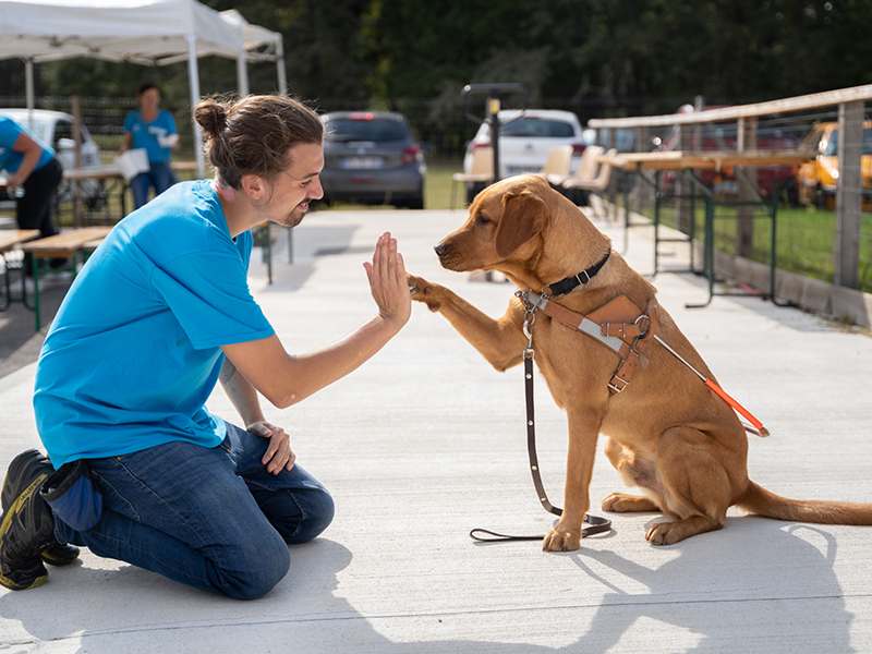 Lire la suite à propos de l’article Un élan de solidarité en faveur de l’association de chiens guides ALIENOR en Gironde